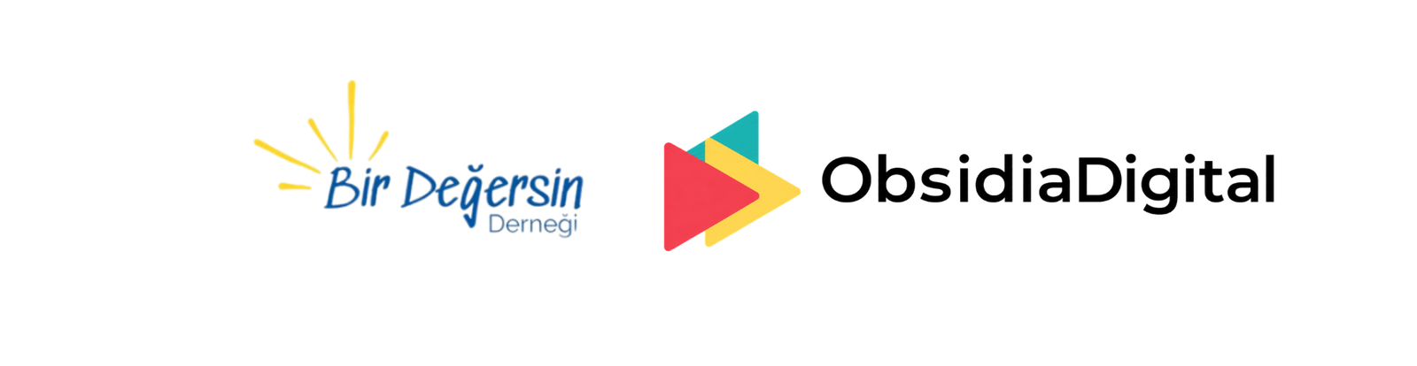 Bir Değersin Derneği – ObsidiaDigital iş birliği